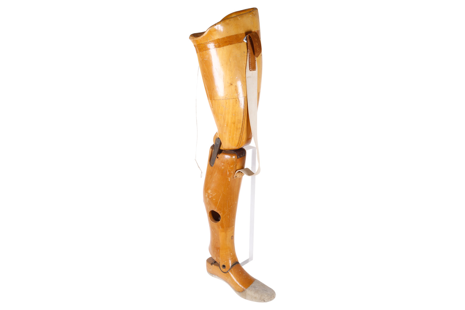 Modello didattico medico di una gamba in legno